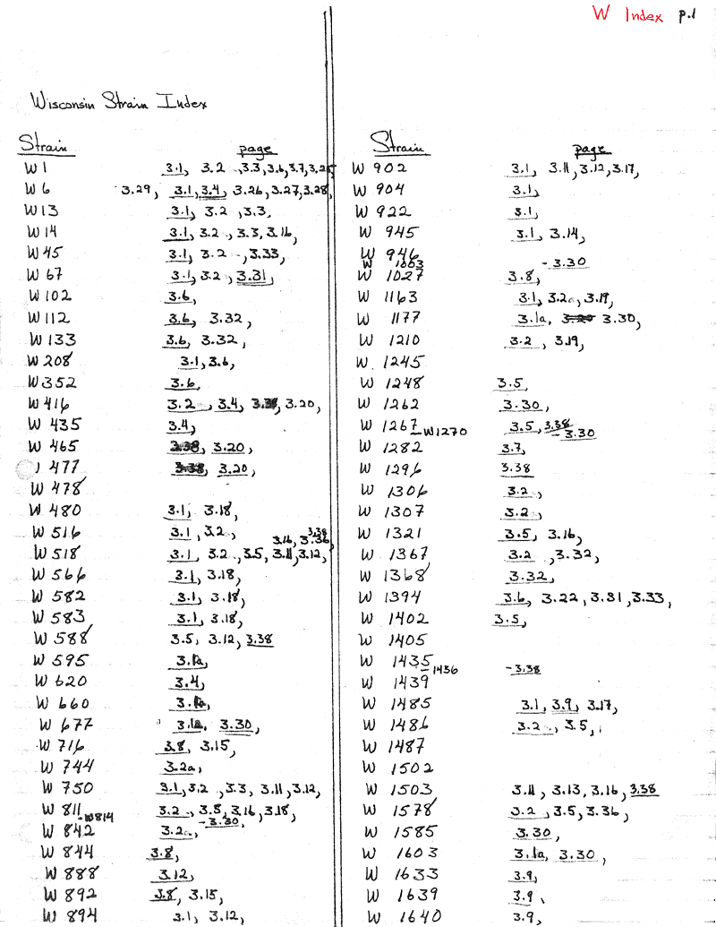 W1 Wisconsin Strain Index p.1